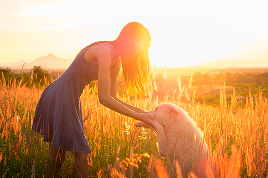 Image for Dog Chews for Sensitive Stomachs